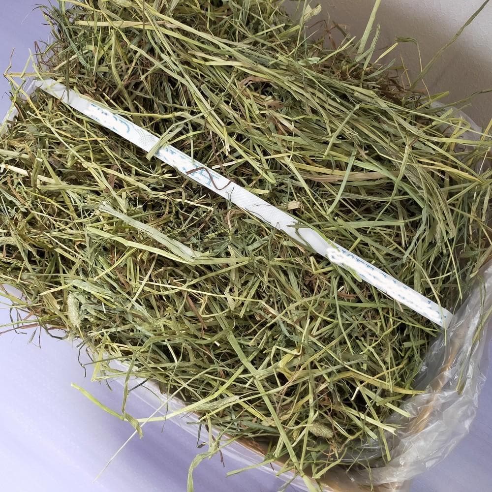 【12/30まで】US産 チモシー 50kg ２番刈り ソフトSプレミアム