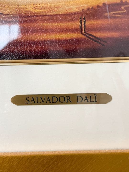 ダリ　瞑想する薔薇　アートパネル　額装