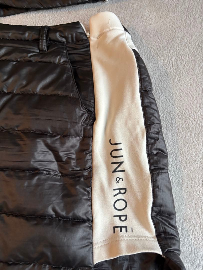 ジュンアントロペセットアップ