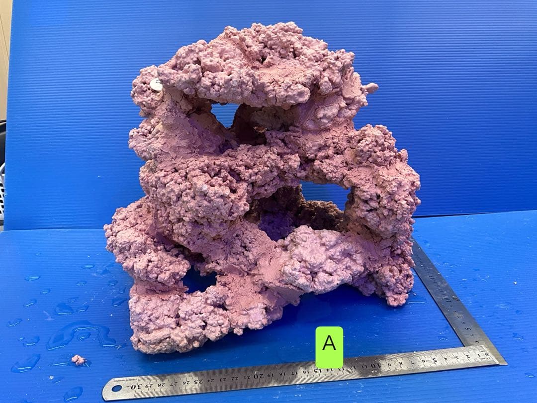 人工ライブロック　No.15 アク抜き済