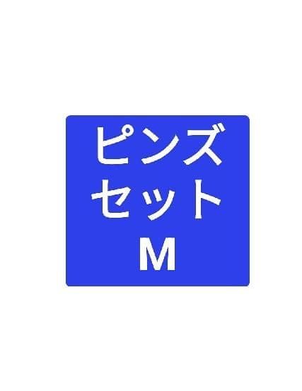 ピンズセットМ