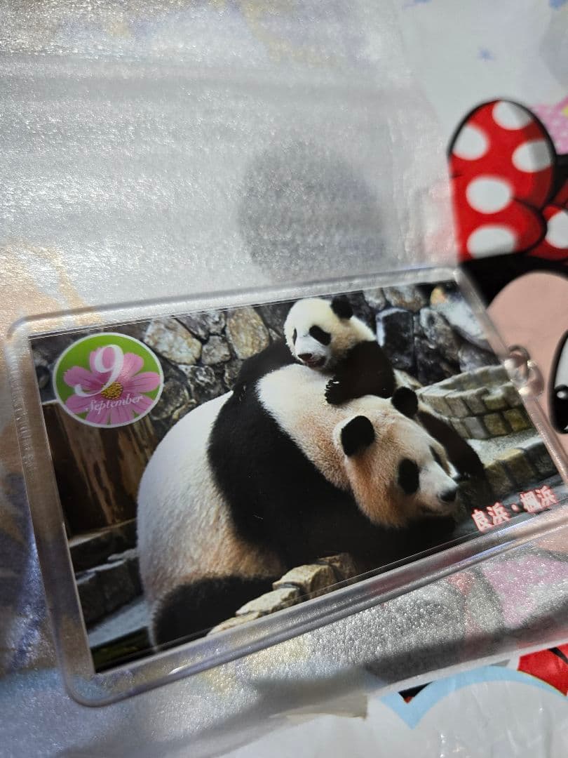 ぴ*こ様 アドベンチャーワールド　キーホルダー