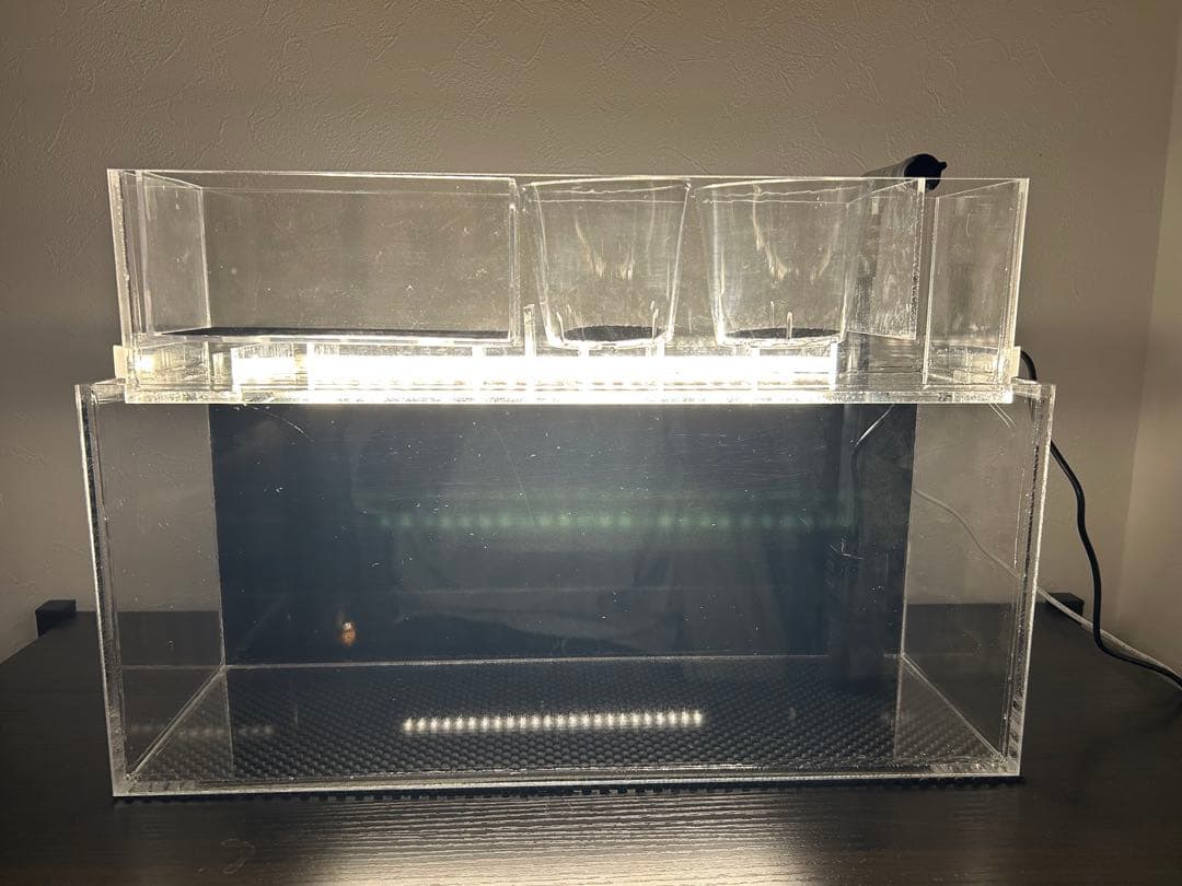 上部濾過式アクア水槽　アクアリウムにも最適！